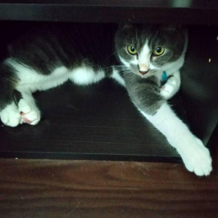 E890ee98 8035 4dfa ba6b ae7491313285 1628811531634