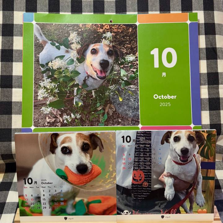 E890f697 fd59 4c9c 81c1 9e750ad6424e 1759577650409