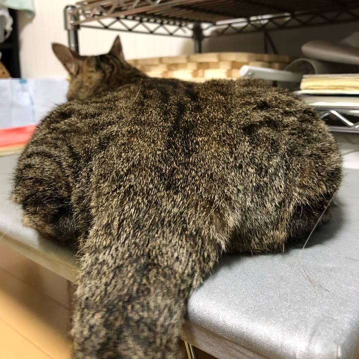 E891250a cd86 44fb ab0f ed38b2baaec4 1560888612788