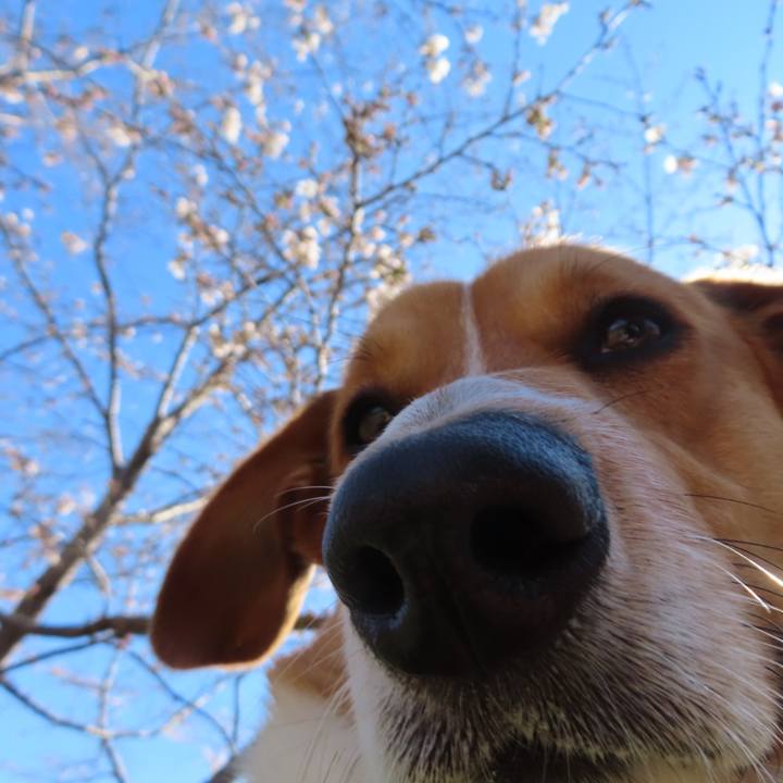 E8915140 5562 425e 8ec4 05dabcb2b68d 1679272440460