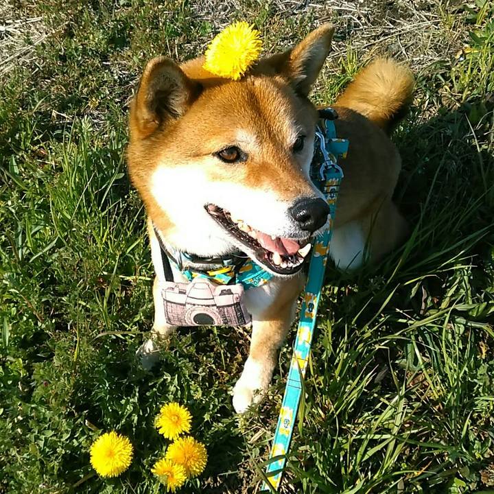 E8915439 734e 4a1f 970b cb287cea0d45 1554363279129