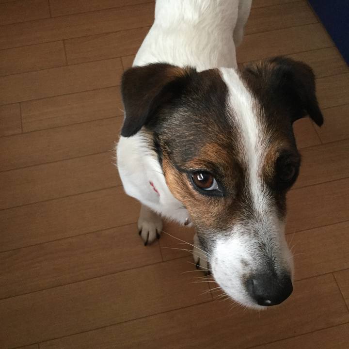 E891855a 407b 4097 80dd eb6cc9c74390 1559632549735