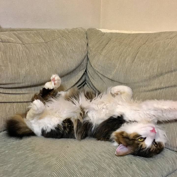 E891d03a cb0b 46f5 bab1 c6b9552d22e5 1523334422742