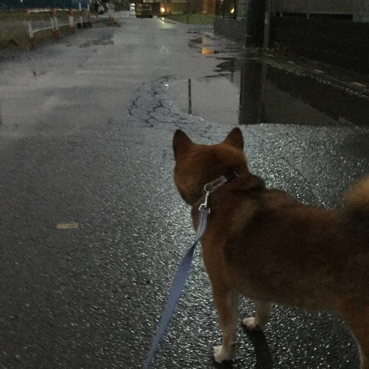 E891d37a 91ed 4239 af1d 513af4945dfd 1572337685008