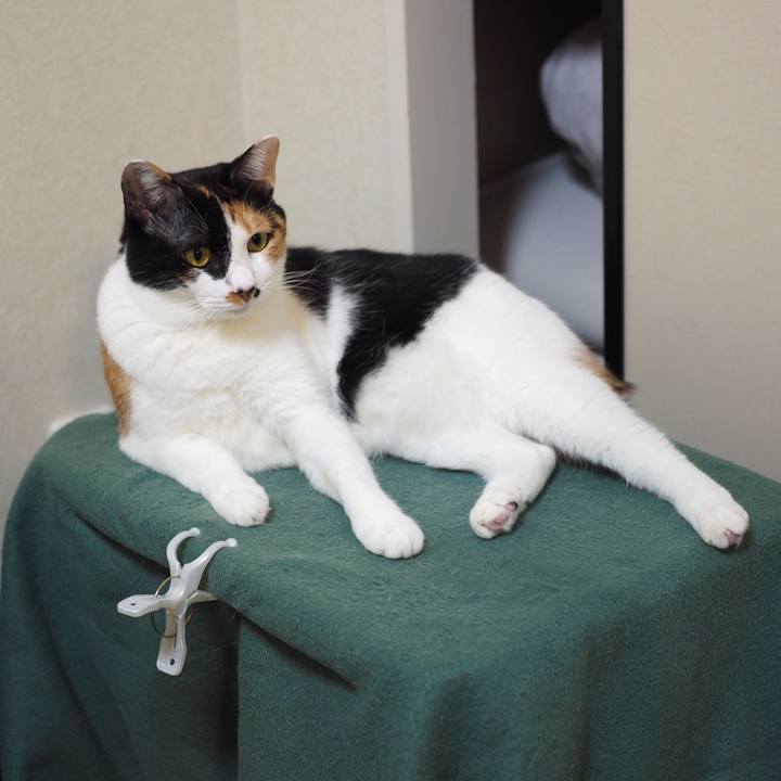 E891f1e4 113c 478d 89fd 1584a123d653 1544485153668