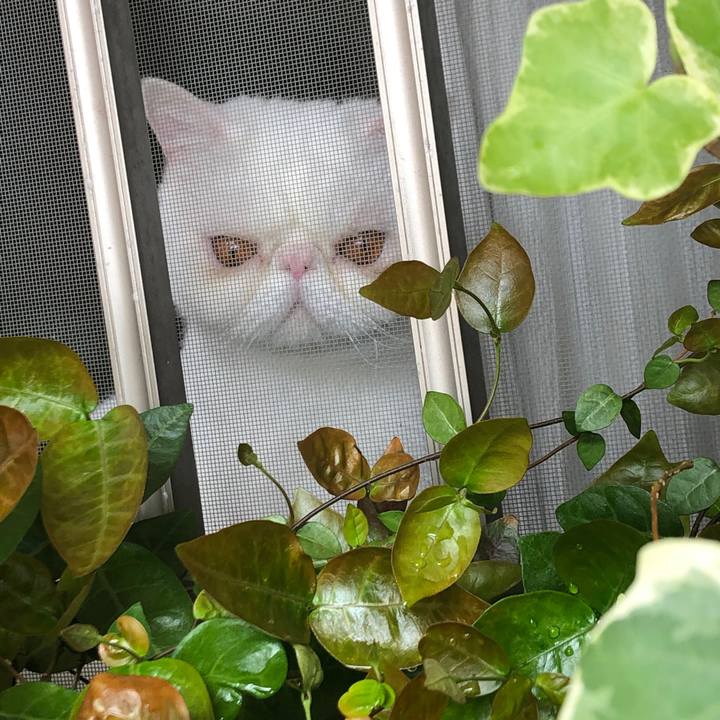 E892174b d15a 40f2 b5a1 5ba6abffd690 1589111016707