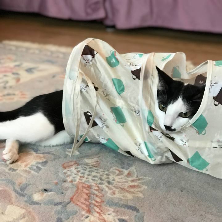 E8924c76 d4a6 45f8 addf aa304e8072e1 1558408961232