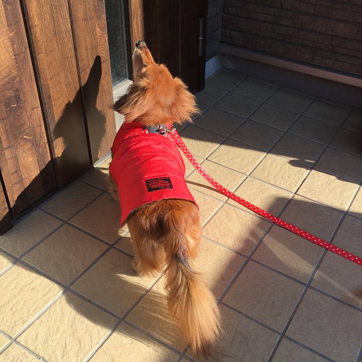 E892552e 6e55 4409 a6c0 d8a6bc9cdbba 1553418373531