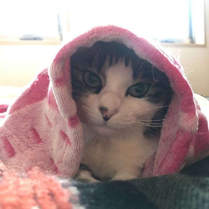 E89259e5 1334 4cfb a2ed 0e30cf22fe4d 1554680542246