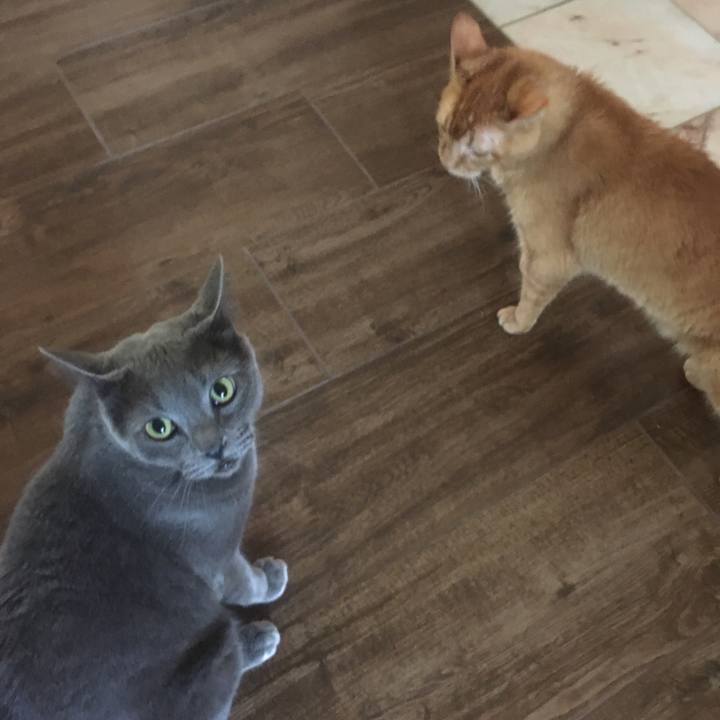 E8926509 ced5 4335 a36a e64f85a1d924 1652918143489