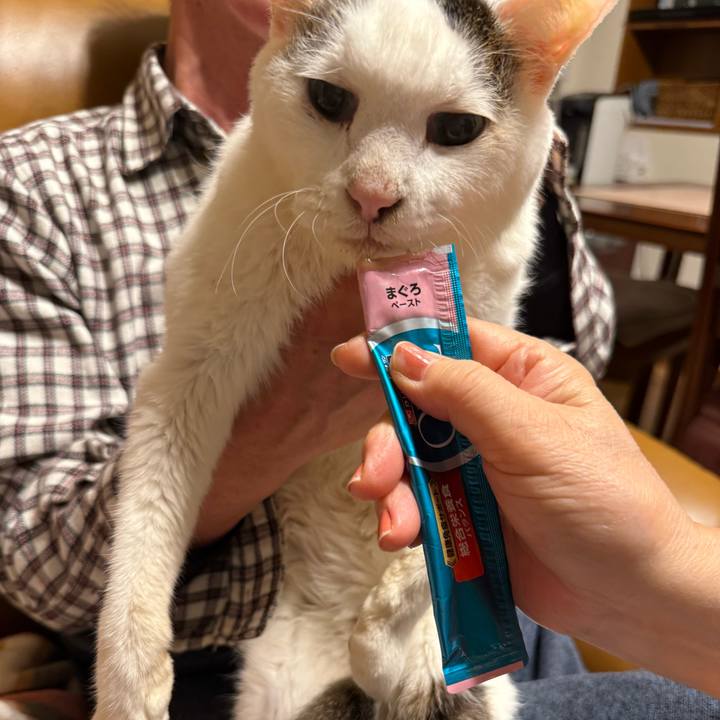 E89274dc 3f2f 459e a747 ce71c03b55e7 1770207827629