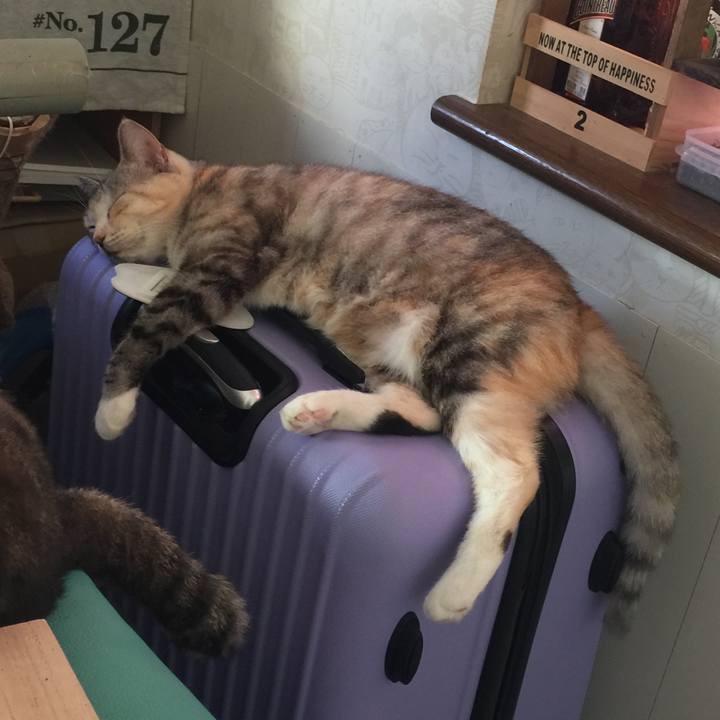 E892b7de 4147 4db0 9739 5747045dc388 1570949309553