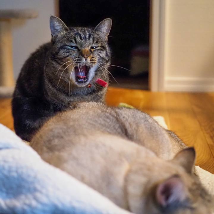 E8933090 b7d9 4d21 9004 06b880984287 1606744212341