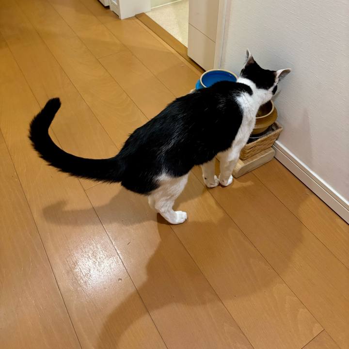 E8933660 9a88 4884 a4ea 6fa5c66736a2 1756618724113