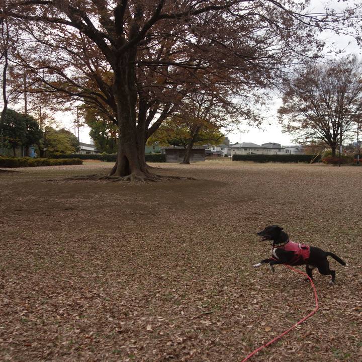 E8936f3c e652 441f b4dd 753617ee5f26 1701394672907