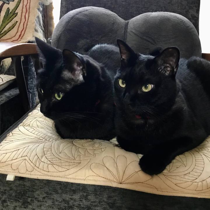 E89380db 739d 410c abfe cef9ed16f0cc 1524396695755