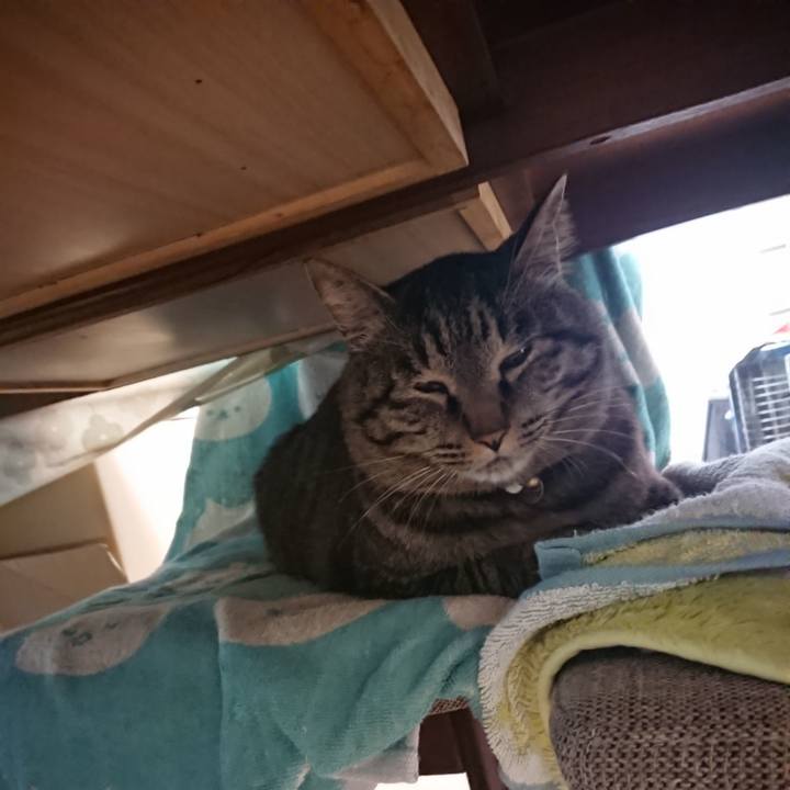 E89390aa 7521 4e79 b8aa 14cd6e3eb224 1652992725400