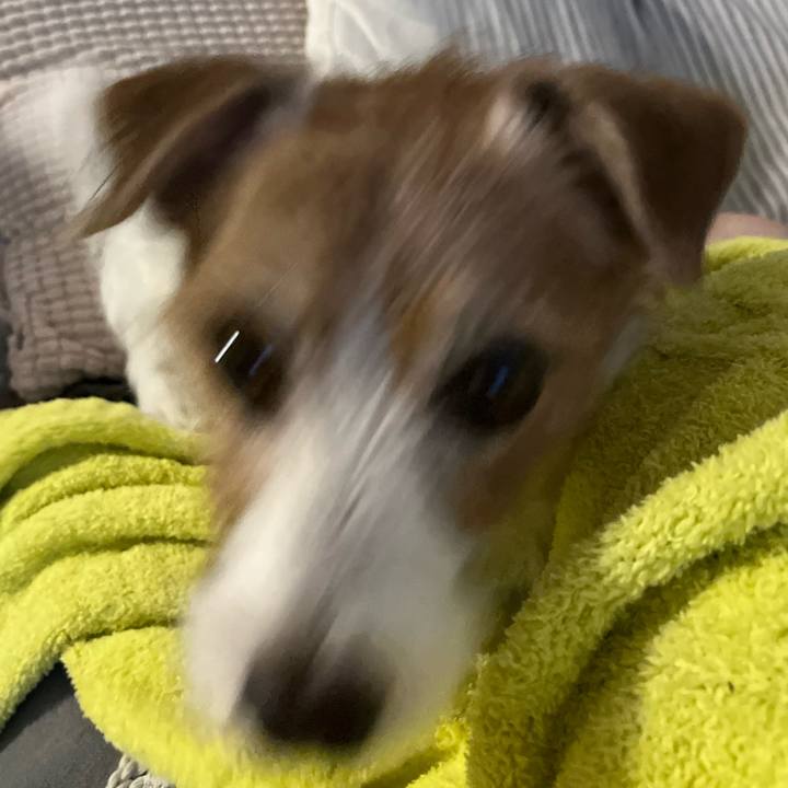 E8939f7d da23 4b35 9f7e d11bb66ce9df 1700311332693