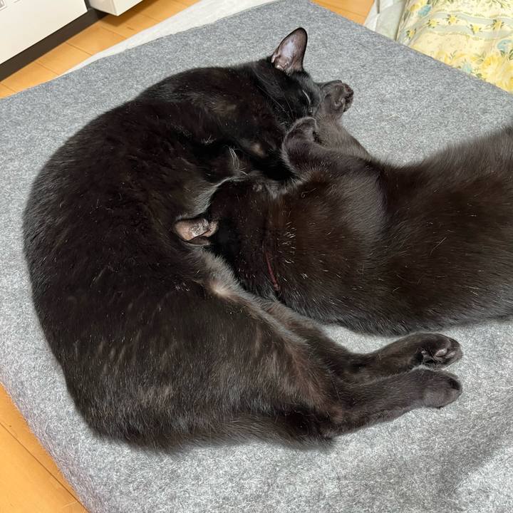 E893afb6 e24a 4c9b 8812 a9b4c7e7f3f2 1685932213552