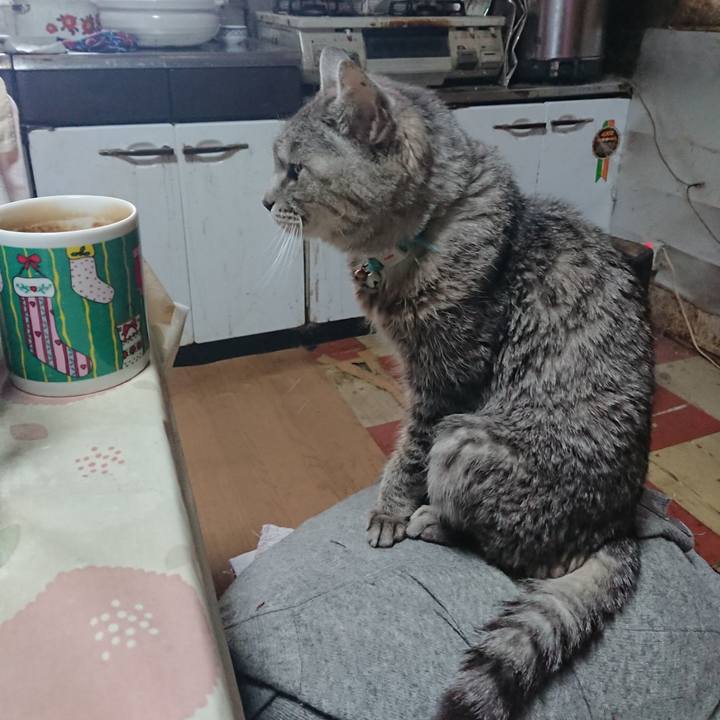 E893b5e9 fe79 49e1 9b6f f5d7d92252a4 1575166014087