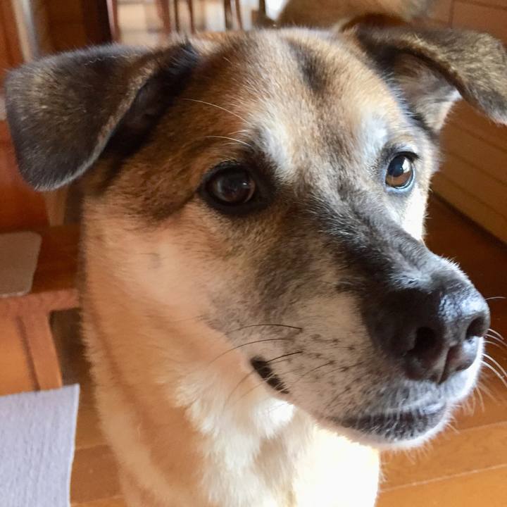 E893df59 975f 42cf b294 318c043342ae 1569320263729