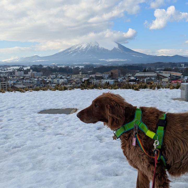 E893e11e bd18 44e6 bc7d 27df962cdafe 1766284813514