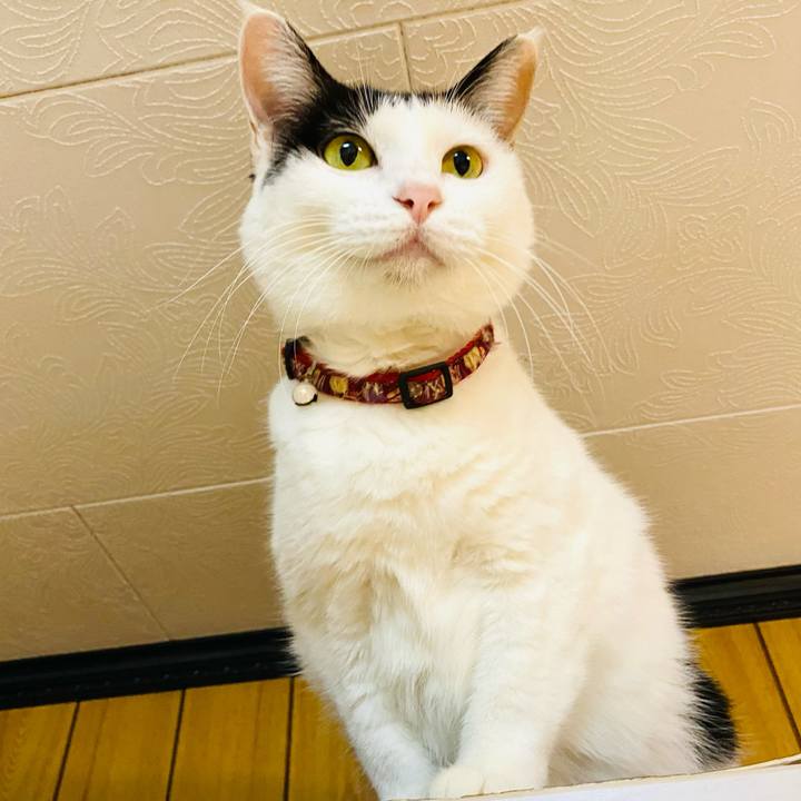 E8940847 37ec 4a68 b4c6 45b28b93992b 1668263583333