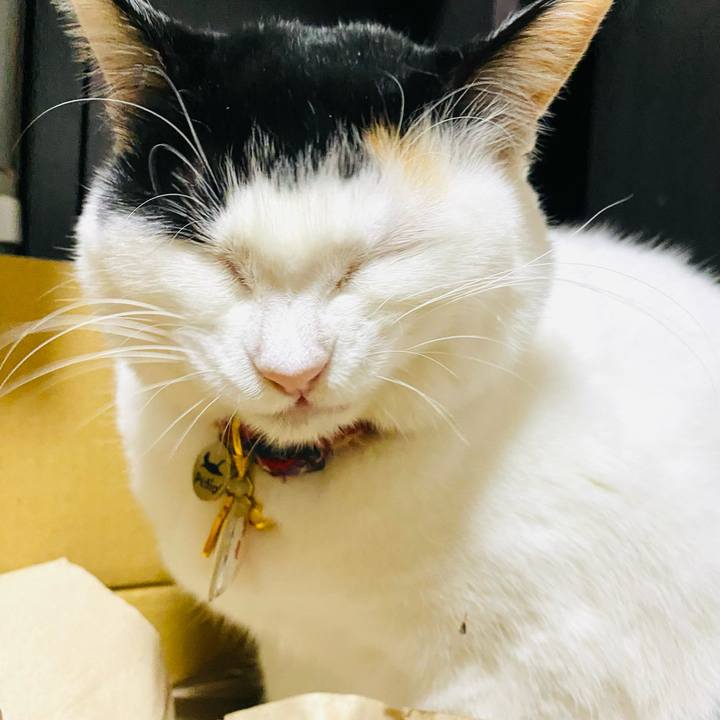 E8940e0d e999 4b47 b7a6 f5039f931282 1709677565588