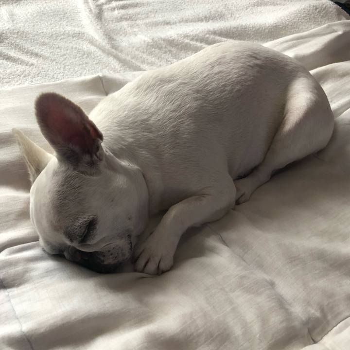 E89416f5 e3e7 4986 a928 49e9c3292a2f 1625577161645