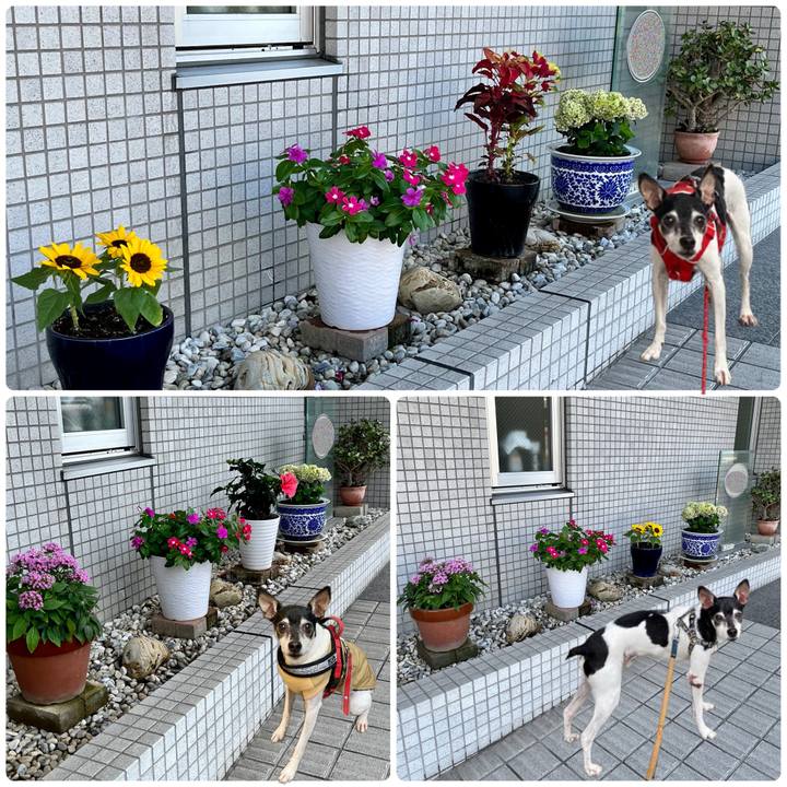 E8941bf2 7cae 496a b672 702f51f06e7f 1689597300702