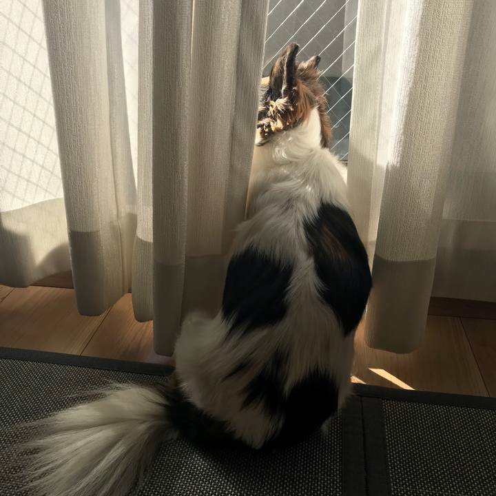 E8942a15 58c2 41c1 927e 797ed1d40702 1516019806213