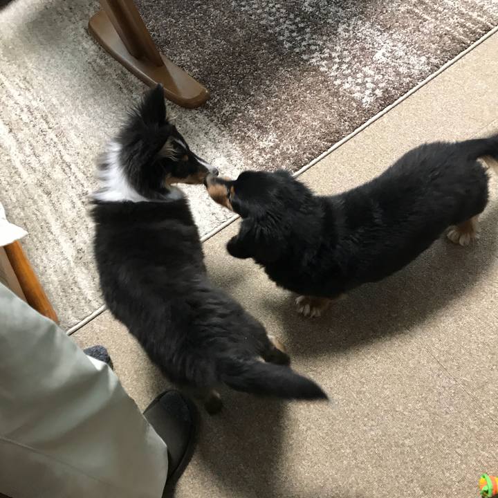 E894716c ce6d 44d3 ba65 e45337ed6a22 1513031099968