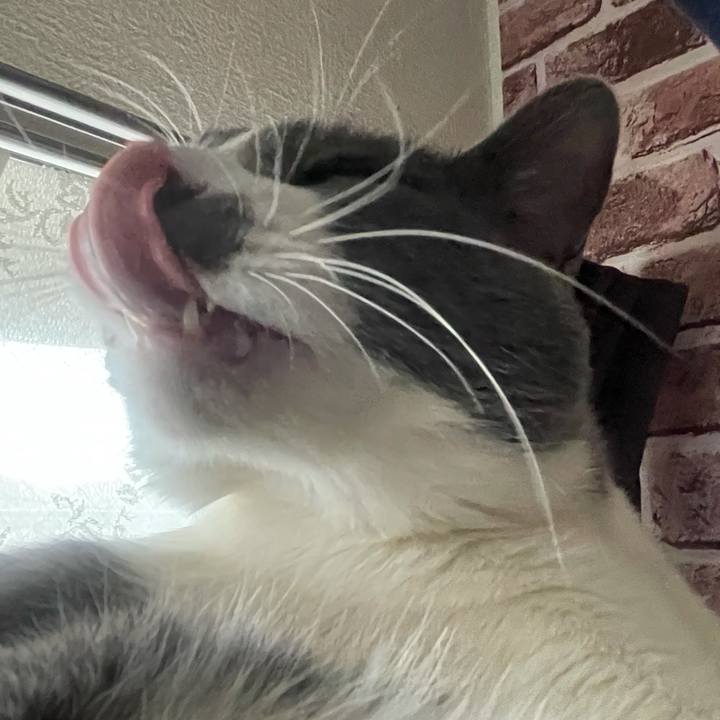 E8950660 95bf 40e0 ad3d 50d8a35ada73 1641178291949