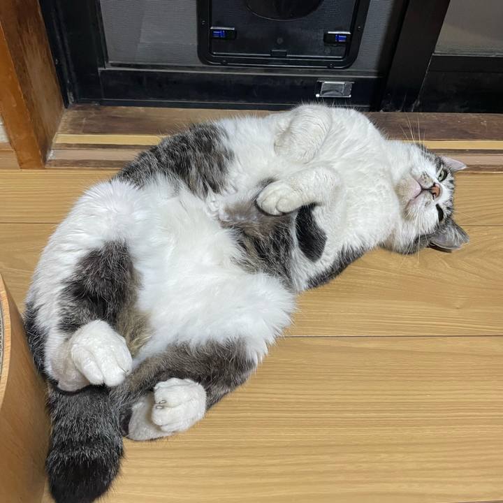 E895172b 0228 4ab8 aa9d 3cc747638b48 1652523740590