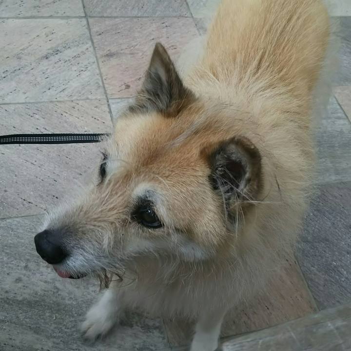 E89566cf 31c8 4282 805e 3ea2219b0d7f 1526176974664