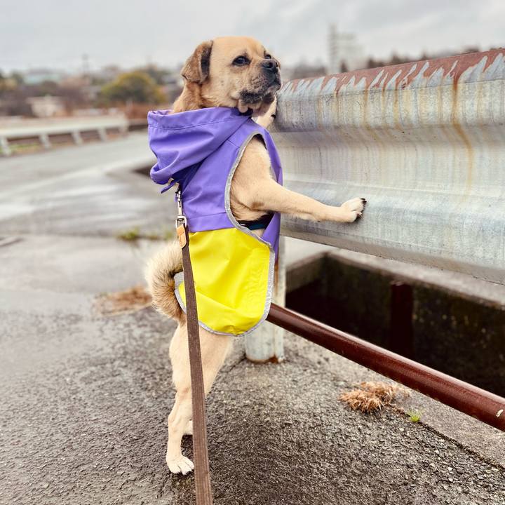 E8958312 e3c4 4b9d 8269 0bb0a063ea7f 1772155905486