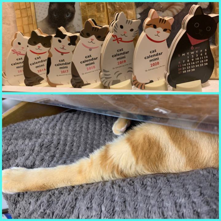 E8959cb6 6f27 4fa3 8230 41c702afa783 1622498737261