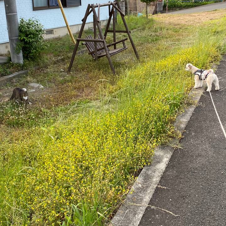 E895b474 7eef 4621 9cd8 1a64b2c2a301 1591154599131