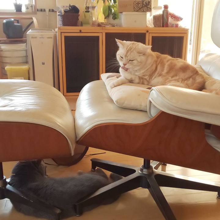 E895ba6b 1f22 41c9 a8fb 4d0a7796c039 1558921818159