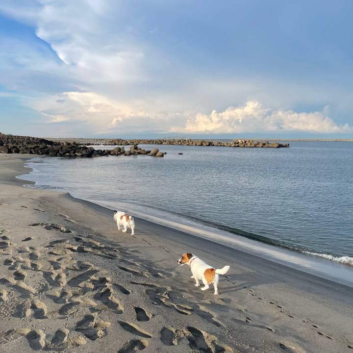 E895e0a0 1dae 4ea7 b1de 995727ccf167 1698189610284