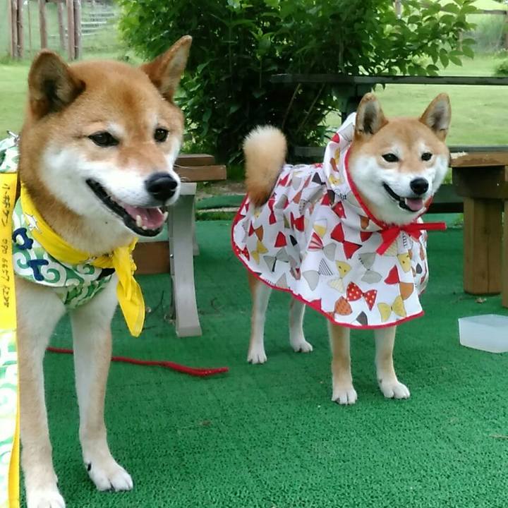 E895e7f1 4afe 45f5 a0e9 7d22def29485 1562417921842