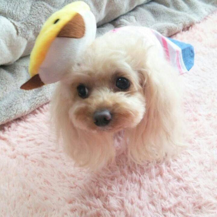 E895ff10 f479 4696 9180 6b6dbd7fa85f 1524745466874