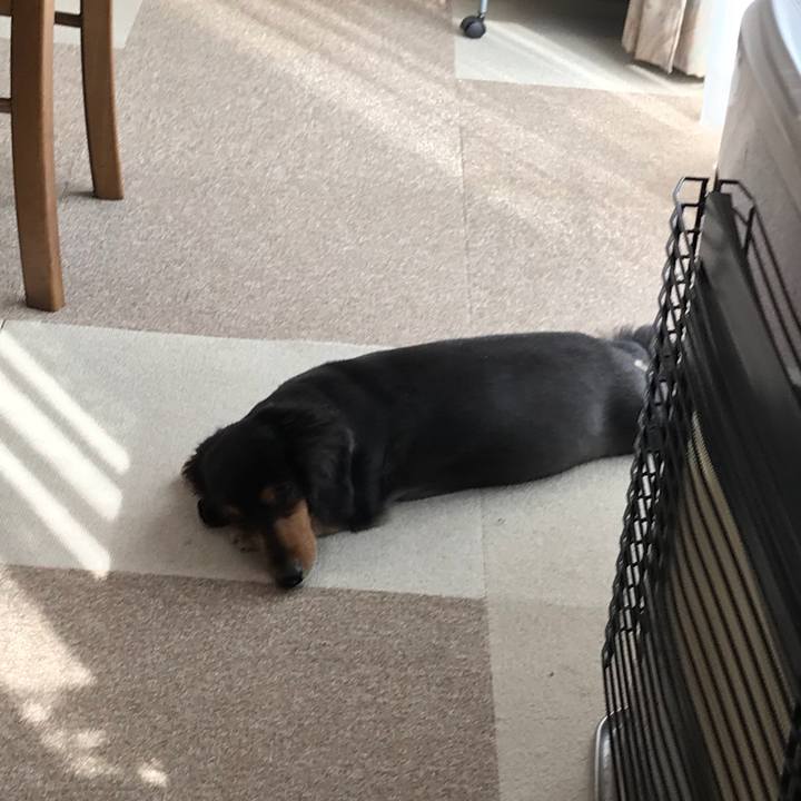 E896160a 45e8 452e a839 30f11abb1c5a 1532213523792