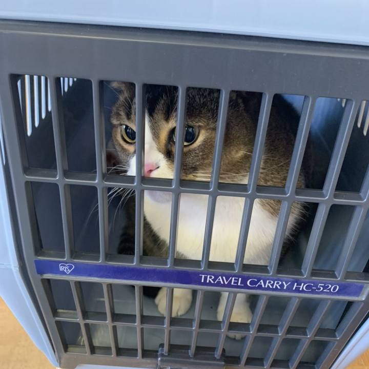 E8964af3 0048 45f6 a886 5e28a788333f 1613964793573