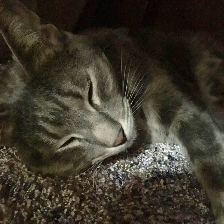 E8965d1d bb13 4c28 89a9 568a09839f6d 1555156708256