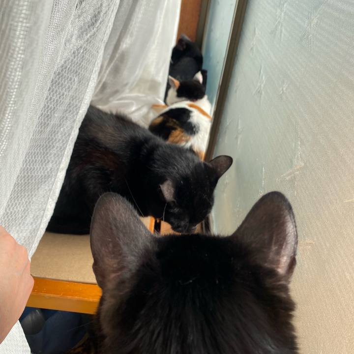 E89679f1 b2a8 4721 b2df da5d1a30ba82 1648980592592