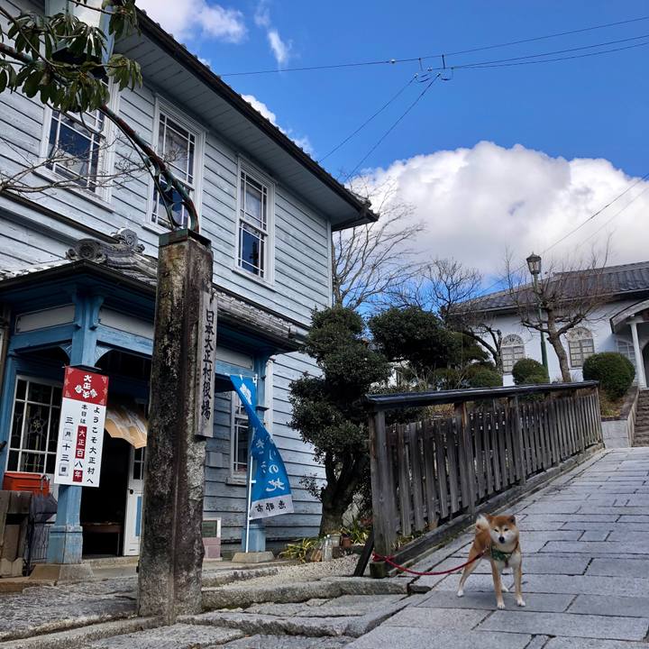 E8967bd0 a8e1 4234 9c15 1e3e438aa27e 1552468162389