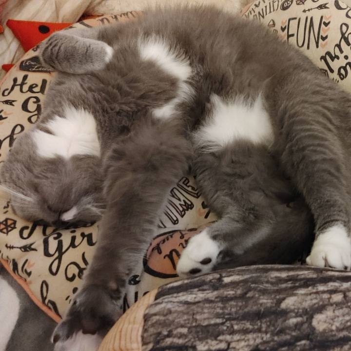 E896bb92 cdf7 4e66 bbb6 f82768f8108e 1621752819156