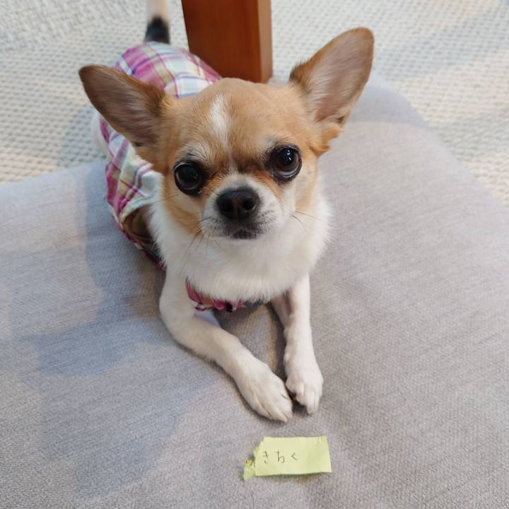 E896ebb6 463a 4881 98ed 0e81705d4efa 1687339856810