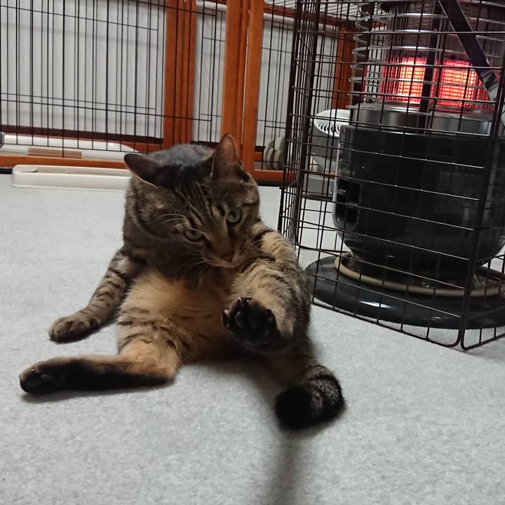 E896f3c1 2a10 4a3e bbd5 793c497faea6 1516545653929